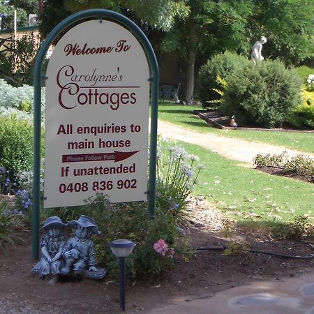 ناراركورت Carolynnes Cottages المظهر الخارجي الصورة